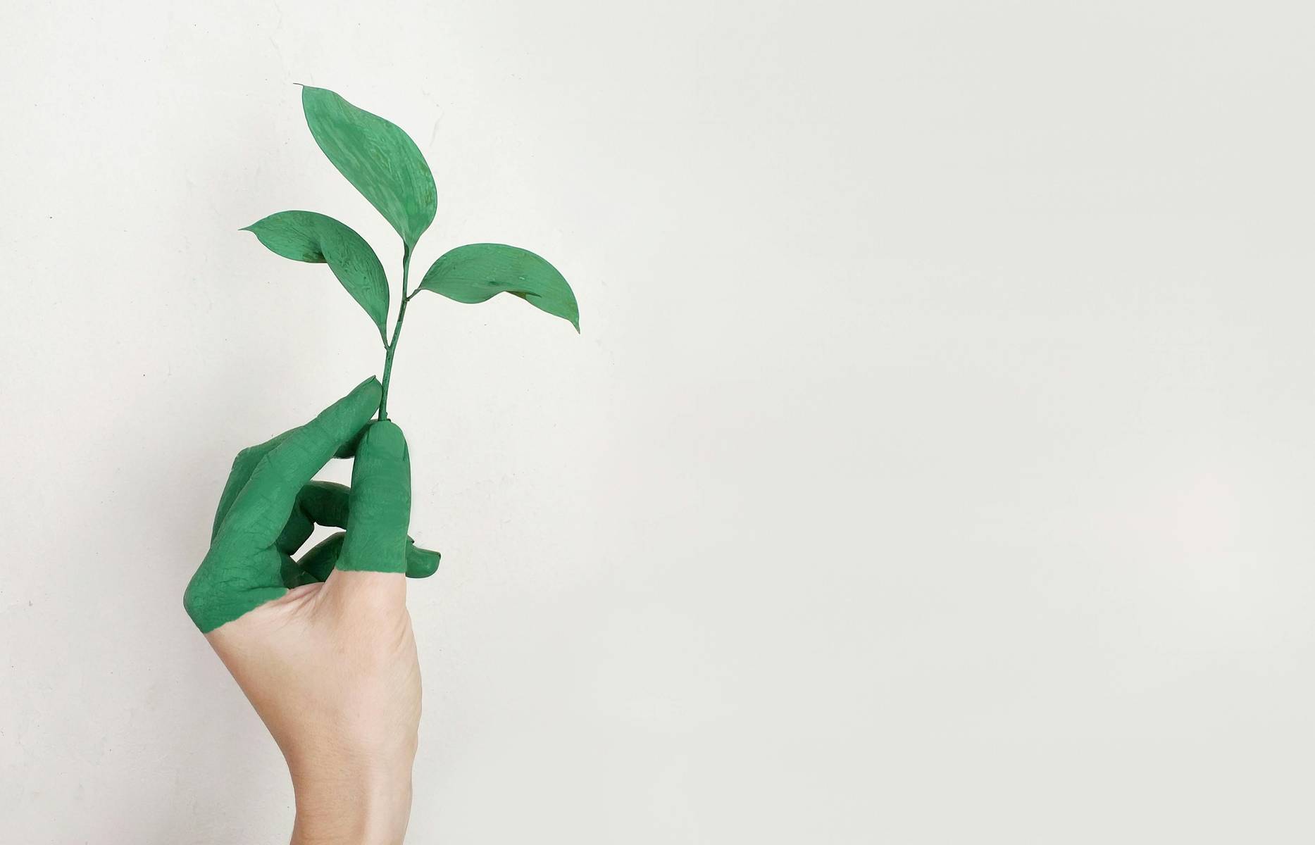 Specialista in ambiente ed ecologia